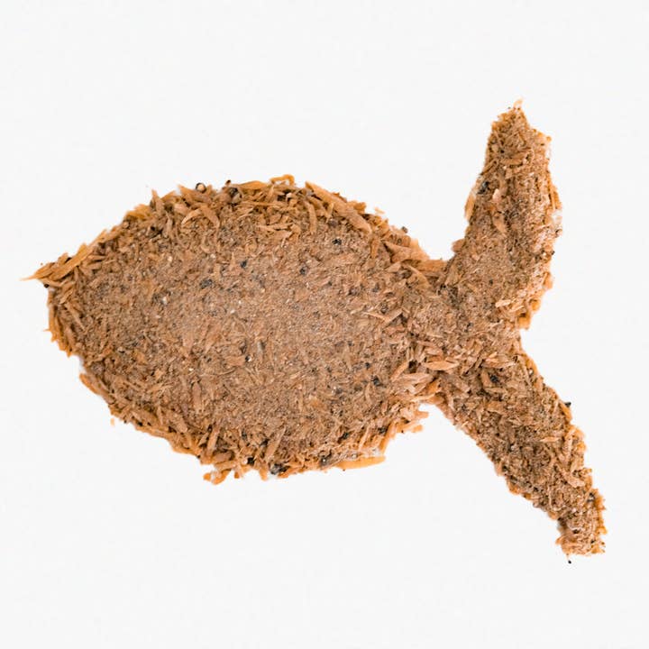 Anchovies Topper for wholesale by Wild n Fresh Treats