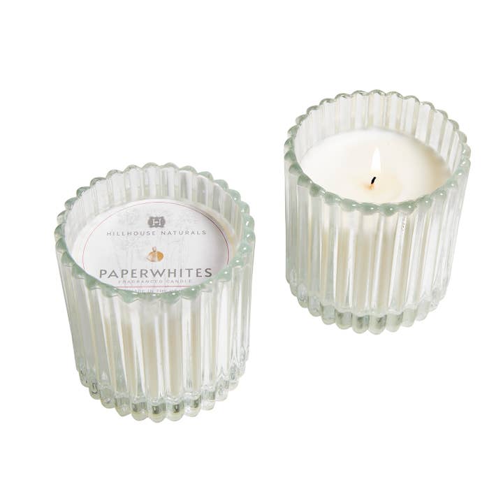 Candela Paperwhites in Vetro 7oz Ctn.6 per la vendita all'ingrosso da parte di Hillhouse Naturals/Field+Fleur