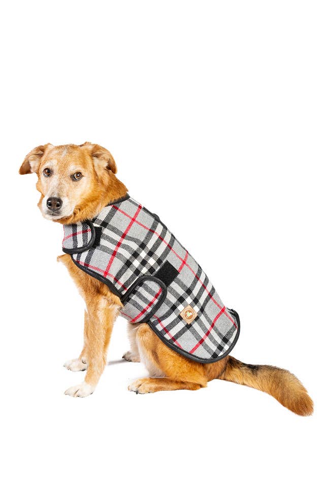 CHILLY DOG LLC - Wholesale Pet Coat - Dog - Steel Tartan Plaid Dog Coat2