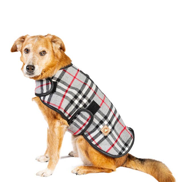 CHILLY DOG LLC - Wholesale Pet Coat - Dog - Steel Tartan Plaid Dog Coat2