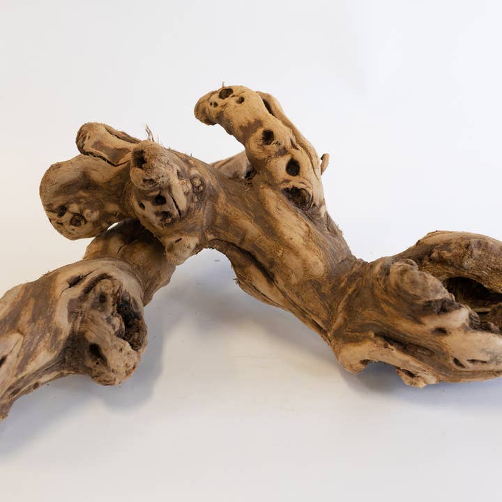 Forever Green Art - Wholesale Decorative Tabletop Object - Tumbled Grapewood Log2