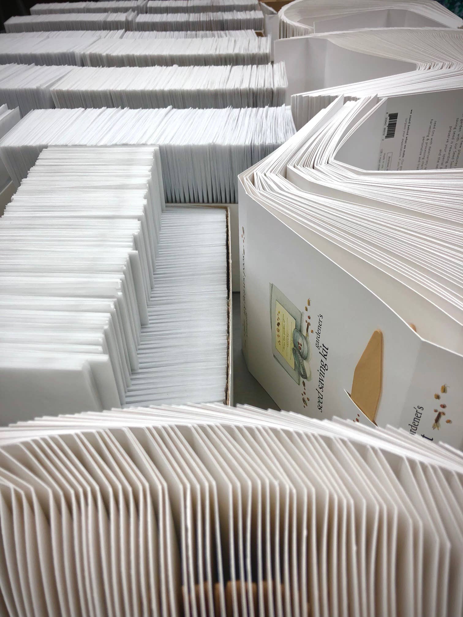 Potting Shed Creations, Ltd. - Wholesale Plant Seeds - Garden Maker Seed Saving Kit | Spring Garden Best Seller6