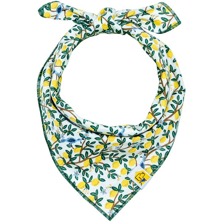 Limoncello Dog Bandana for wholesale by Home With Hound