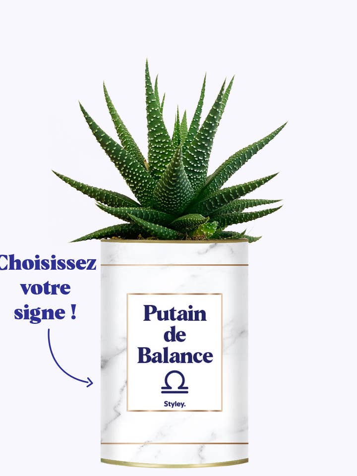 Putain D'astro - Plante Zodiac for wholesale by Styley