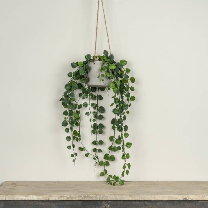 29" HANGING POTTED BUTTON FERN for wholesale by Ragon House