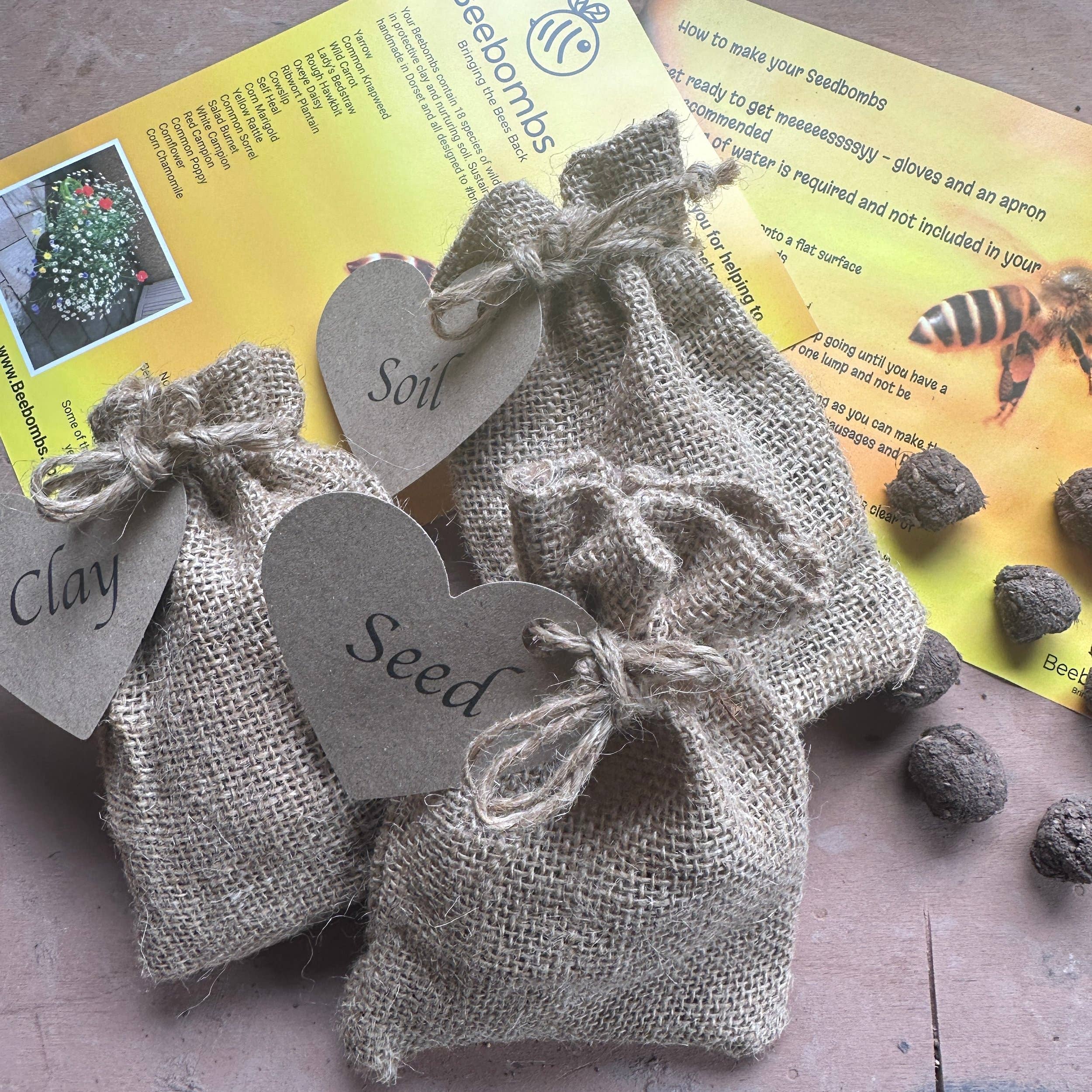 Beebombs - Wholesale Plant seeds - Seedball Making Kit 1