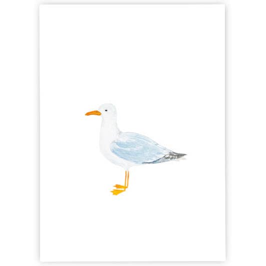 Mew Gull | Postcard | Watercolor for wholesale by Hey!Cards GmbH & Co. KG
