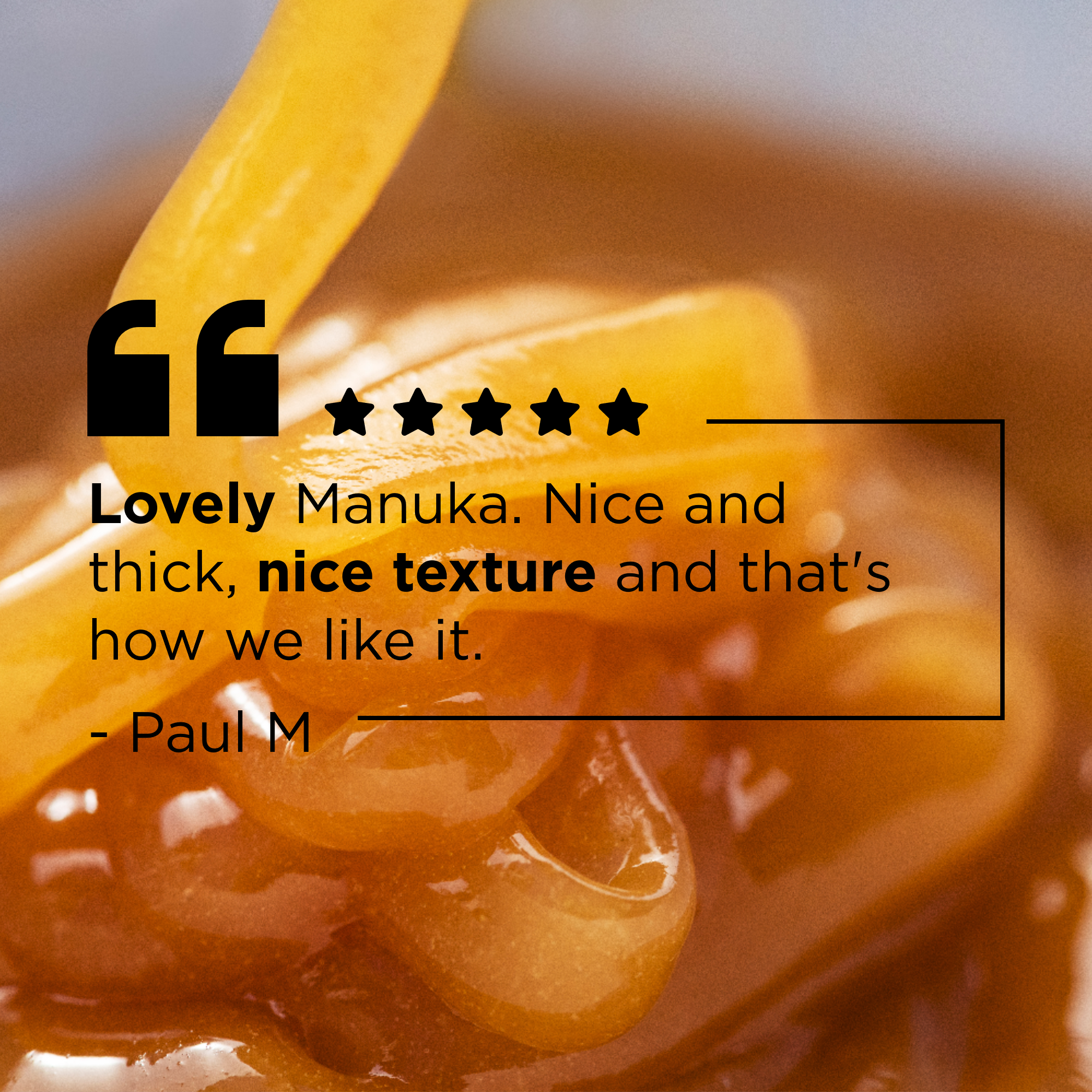 Manuka Doctor - Wholesale Honey - 182 MGO/ UMF 8+ Squeezable Manuka Honey 10.58 oz9