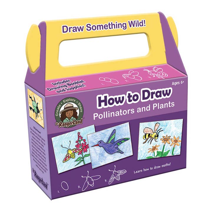 Jr. RangerLand – wholesale Art set – Child & baby – How to Draw Pollinators and Plants Art Kit2