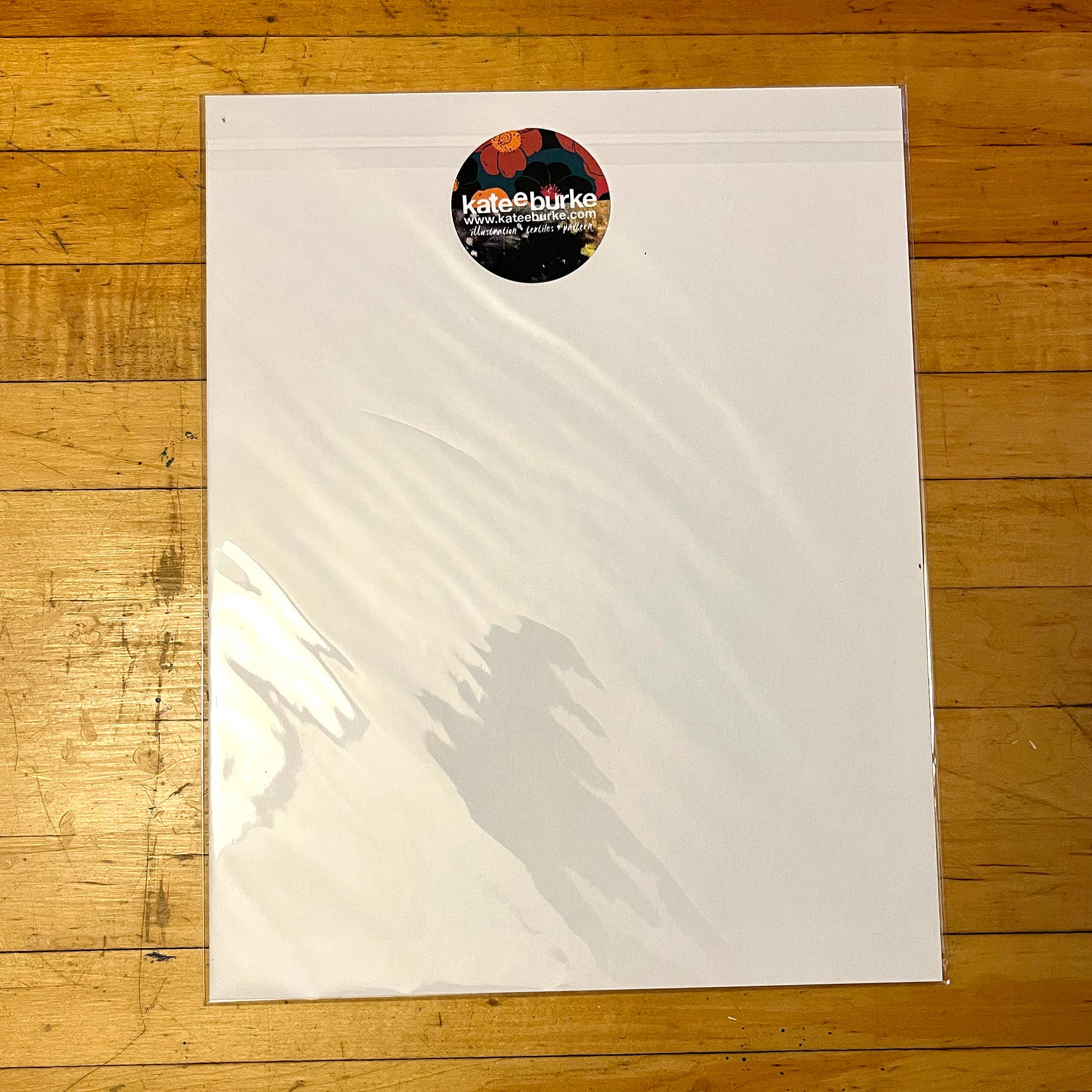 Kate E. Burke - Wholesale Art Print - Bird Series: Javan Banded Pitta 11x14 Digital Print6