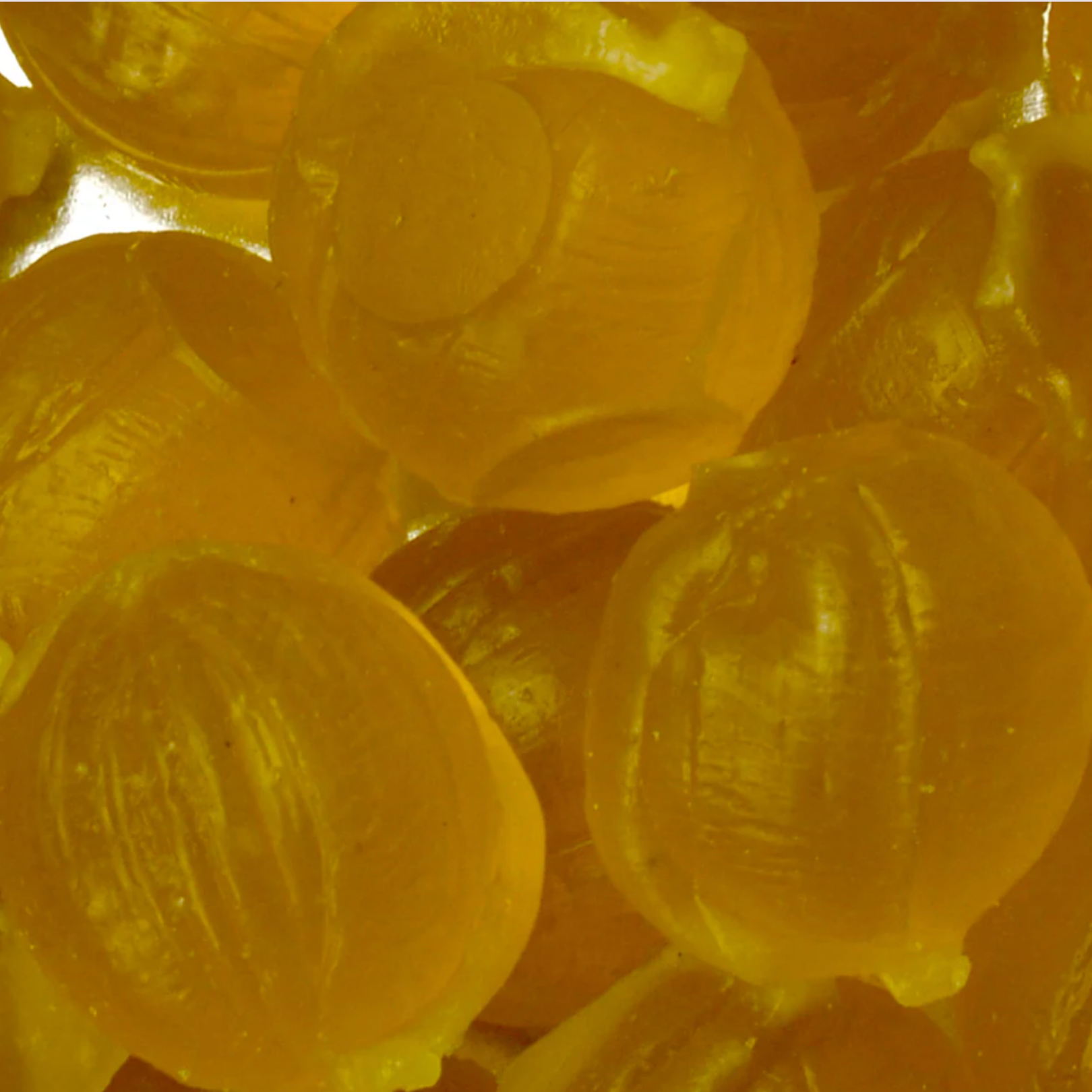 Bonbon USA France - Wholesale Hard Candy - Saint Ange Fresh Mint - French Gourmet Natural Candy Tin1