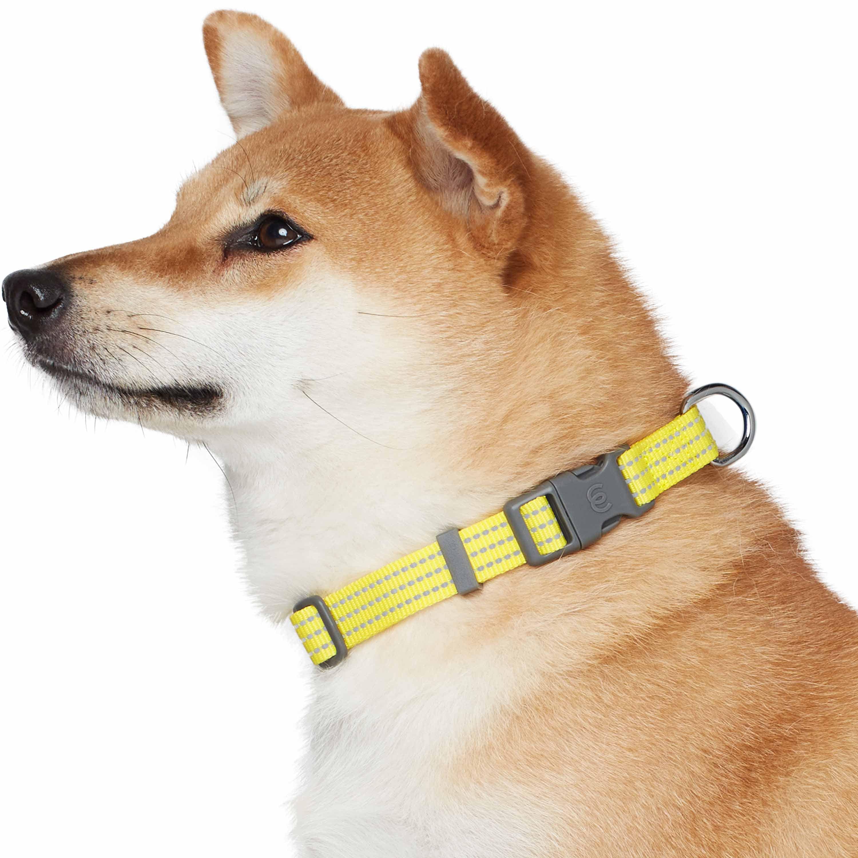 Blueberry Pet - Venta al por mayor Collar - Perros - Collar reflectante para perros Better Basic en 8 colores28