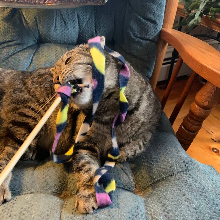 Dr. Pussums Catnip - Wholesale Pet Toy - Cat - Cat Teasers Cat Toys9