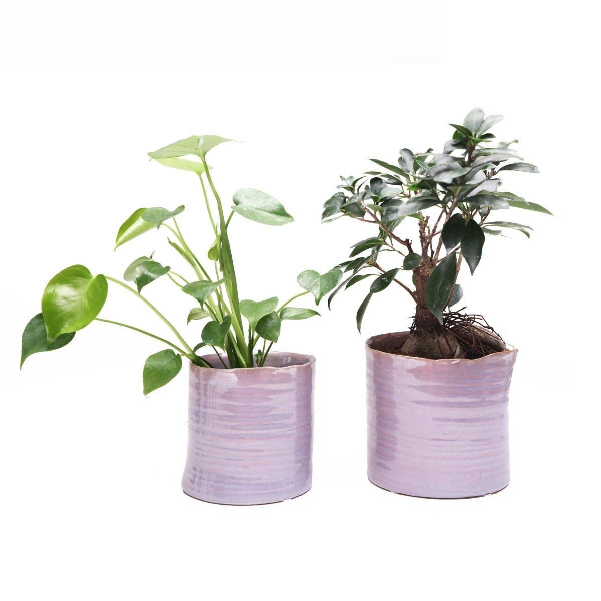 Chive Canada - Wholesale Plant Pot - Channa Japanese Minimalist Flower Pot For Indoor Plants9