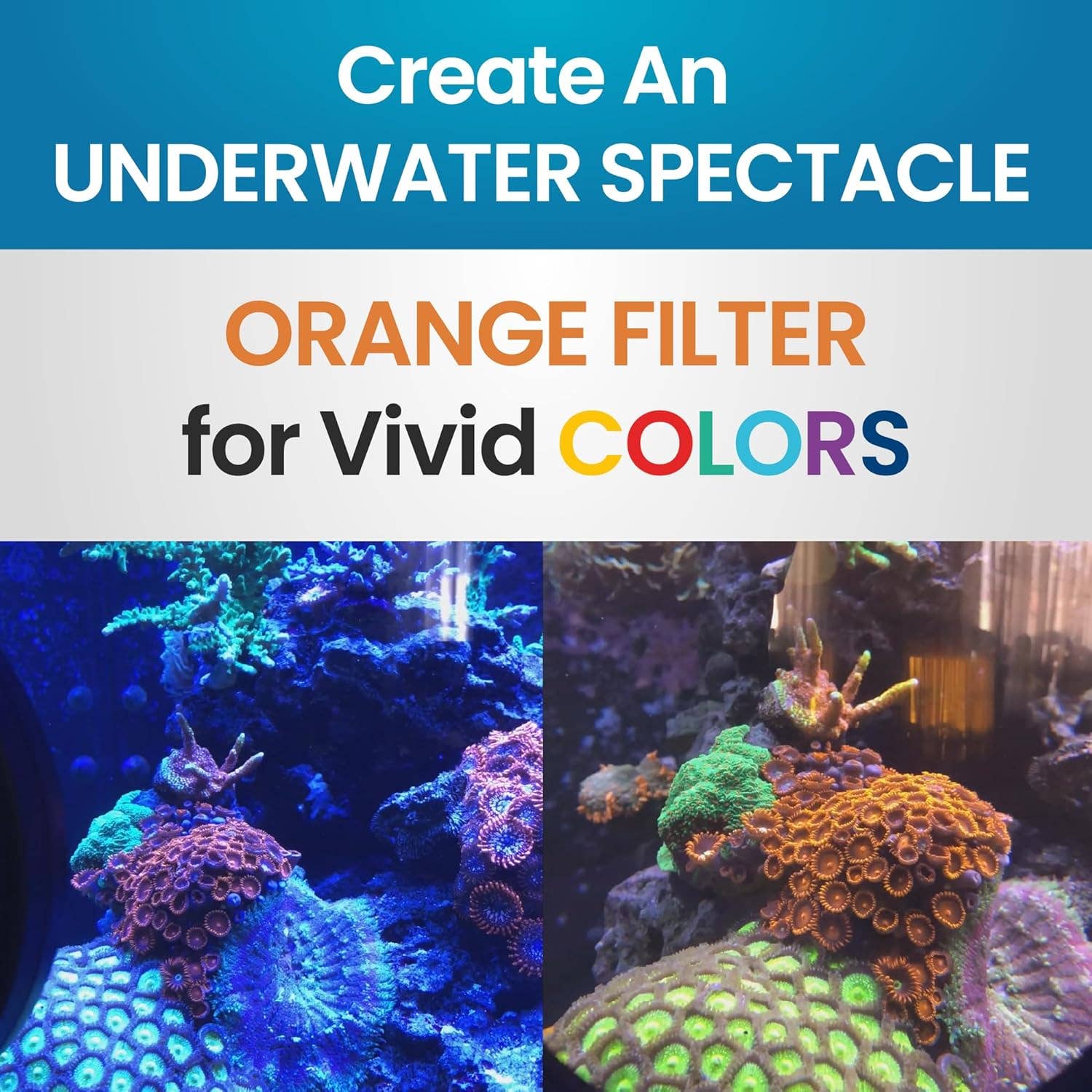 Flipper Aquarium Products - Wholesale Pet Toy - Cat/Dog - Flipper DeepSee Magnetically Mounted Magnified Aquarium Viewer Nano 3" (76mm) Orange Filter Lens2