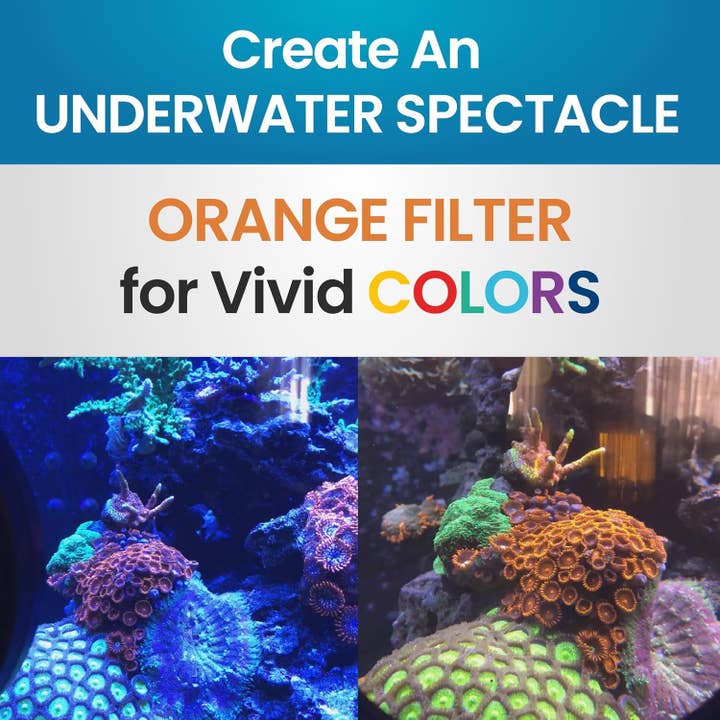 Flipper Aquarium Products - Wholesale Pet Toy - Cat/Dog - Flipper DeepSee Magnetically Mounted Magnified Aquarium Viewer Nano 3" (76mm) Orange Filter Lens2