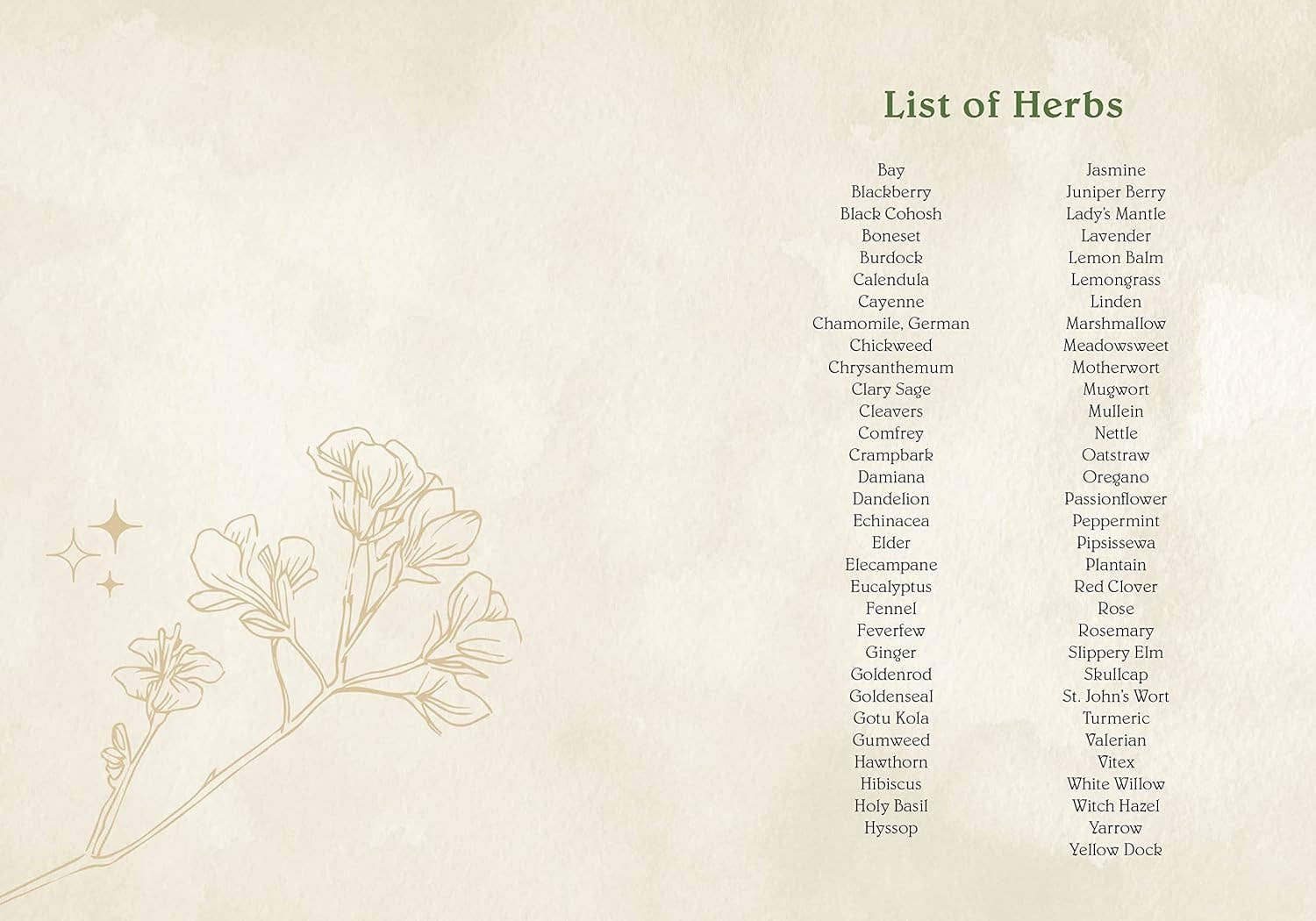 Blue Star Press - Wholesale Nature & Outdoors Book - Wild Medicine: Illustrated Guide to the Magick of Herbs1