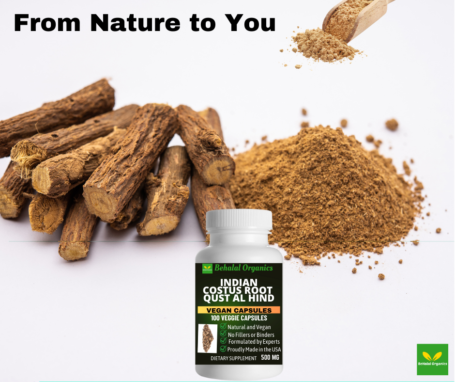 Behalal Organics – Suplemento/vitamina oral por atacado – Qust al Hindi 500 mg (Raiz Indiana de Costus) 100 cápsulas veganas rápidas7