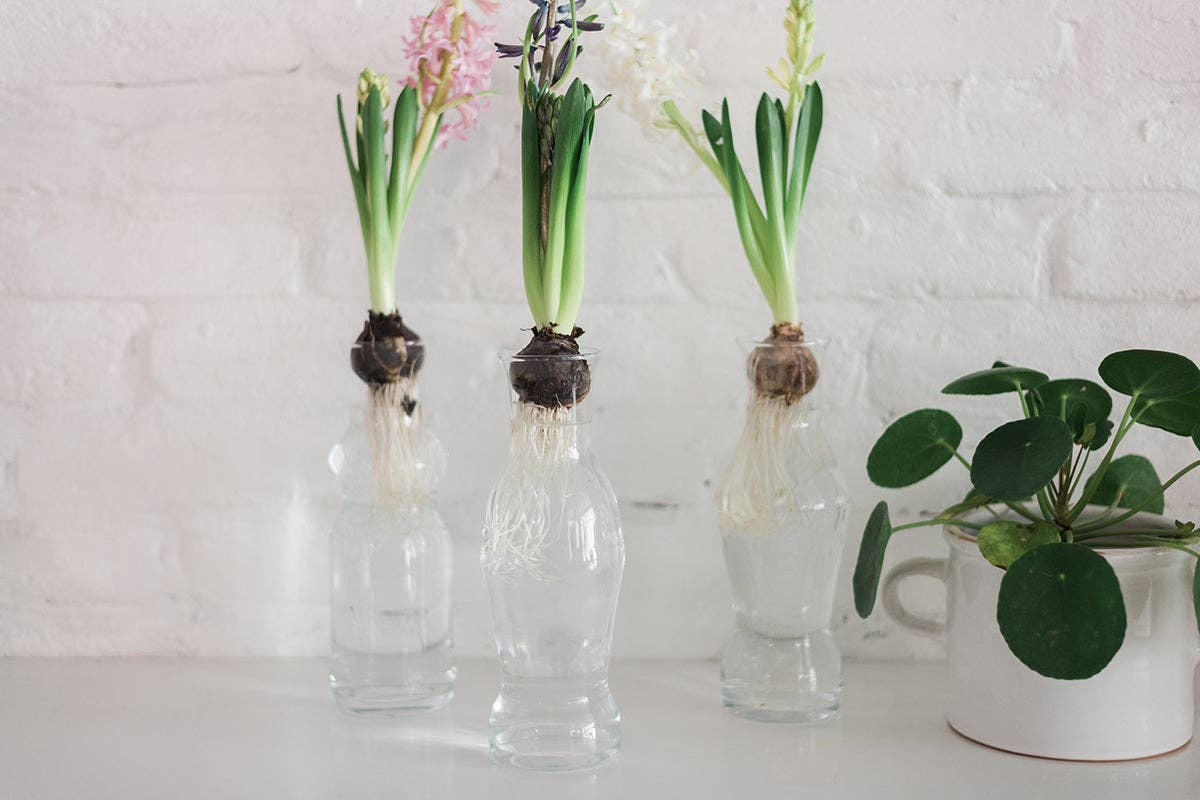 etúHOME - Wholesale Karaf - Glazen waterkaraf3