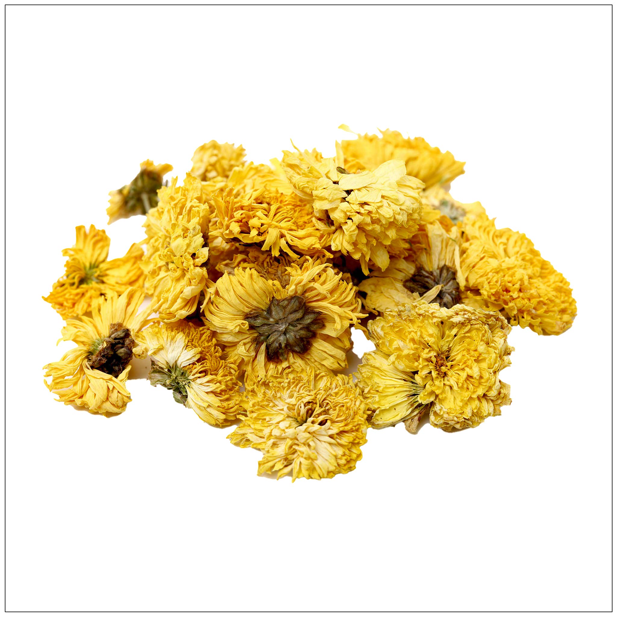 Alive Herbals - Wholesale Loose Tea - Chrysanthemum Tea0