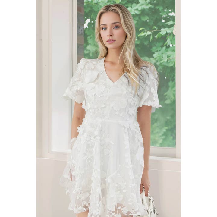 XHHH Inc - Wholesale Dress - Women's - X9035CD.3D Floral Embroidered Mini Dress