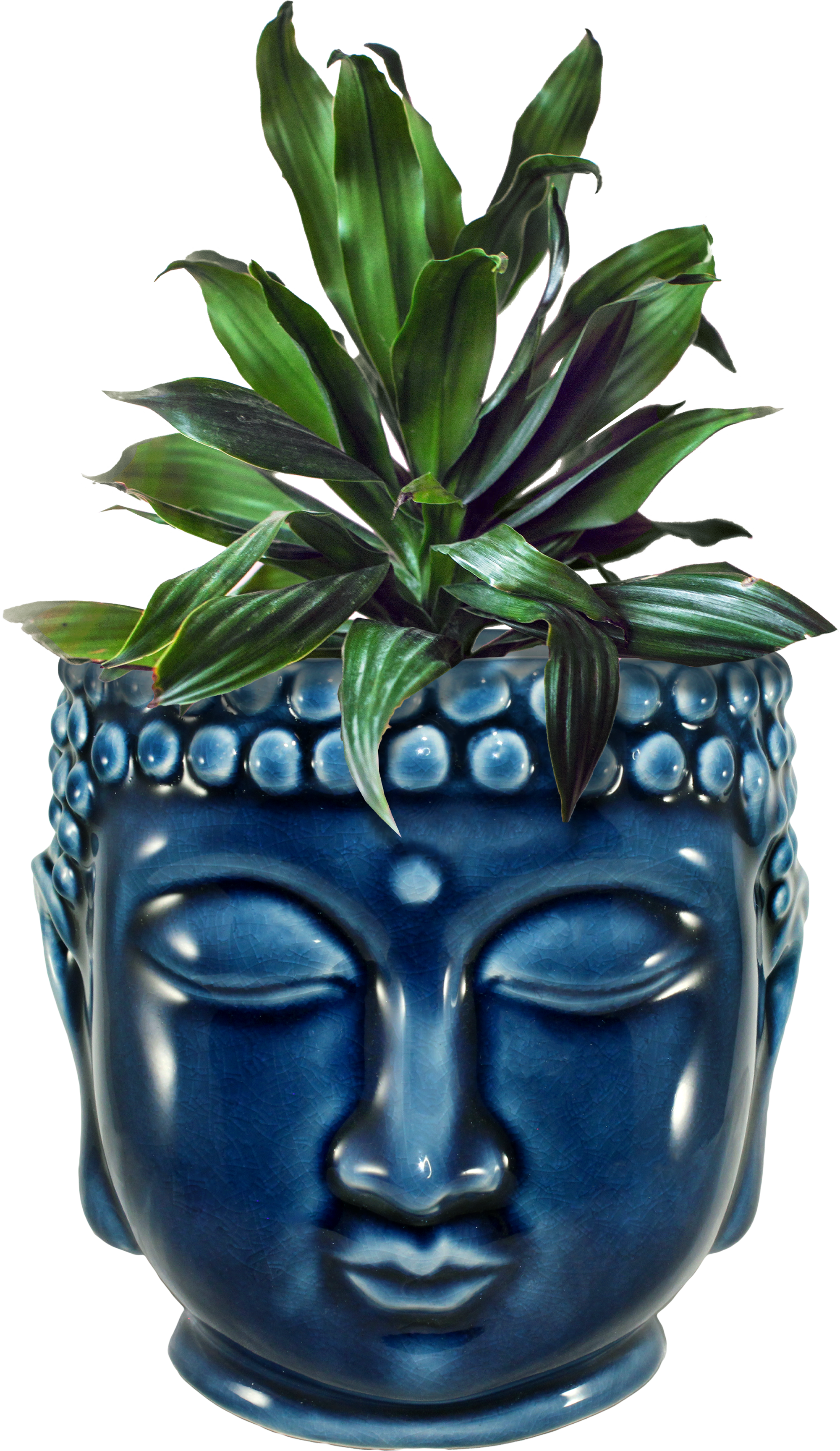 World Buyers - Vente Pot - Jardinière Buddha - XD1372