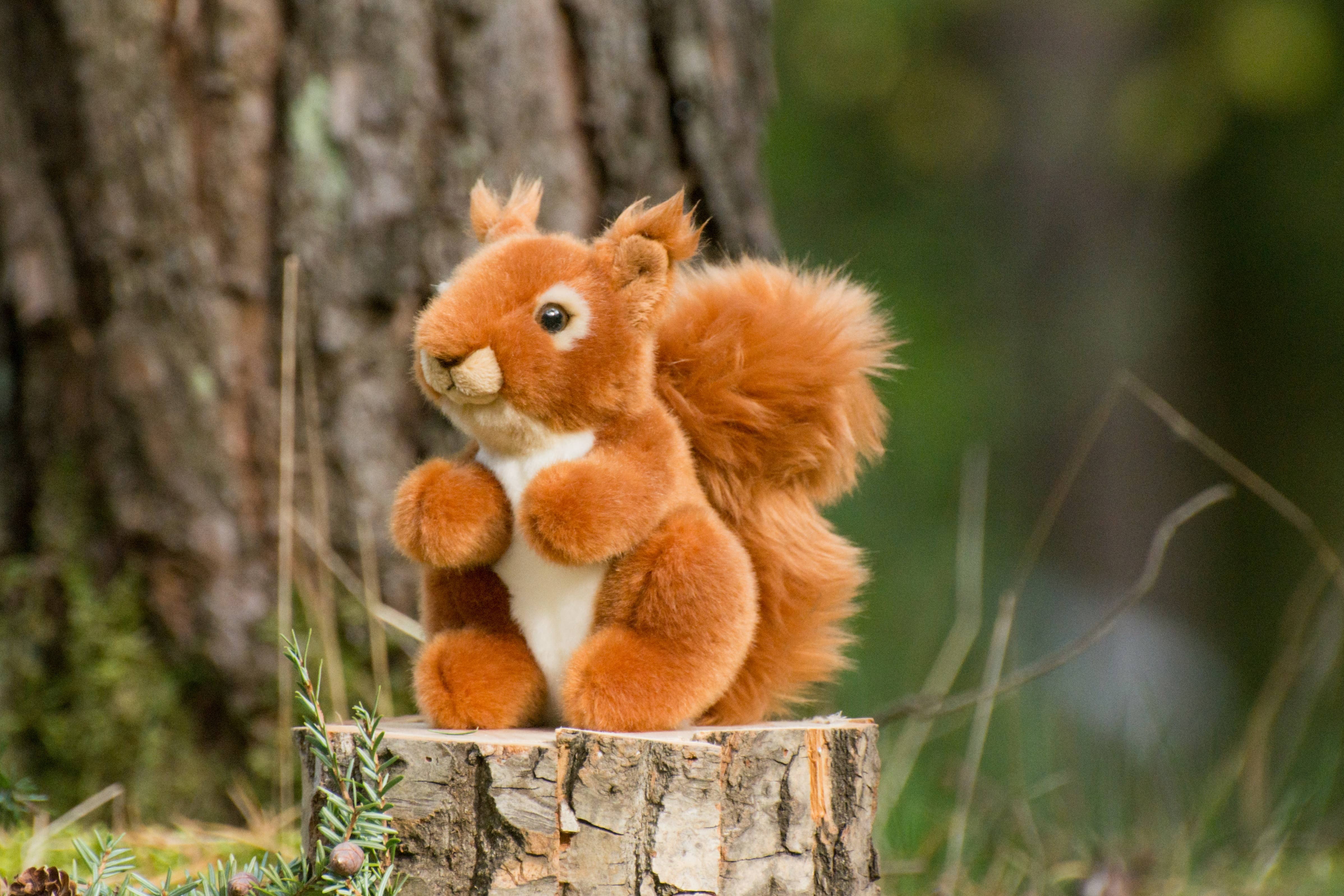 Teddy Hermann – wholesale Stuffed/plush toy – Kids & baby – Squirrel 14 cm - plush toy - soft toy3