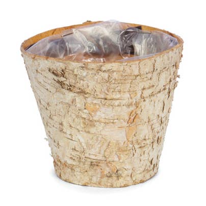 Runder Birkenpflanzer Blumendisplay für den Großhandel von Willow Group