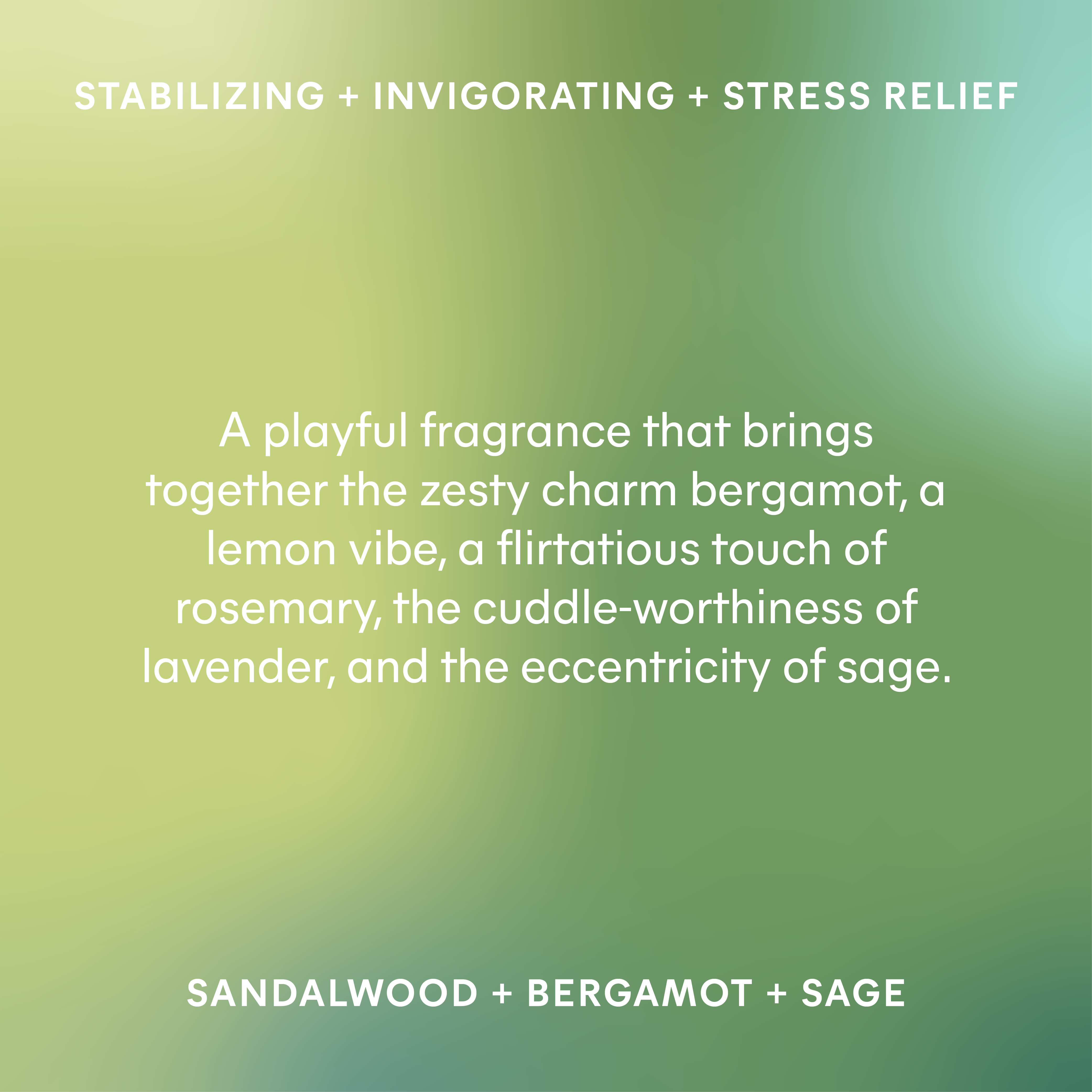 AromaTherapist – wholesale Påfyllning till doftdiffusor – S.L.A.M. AromaPuck2