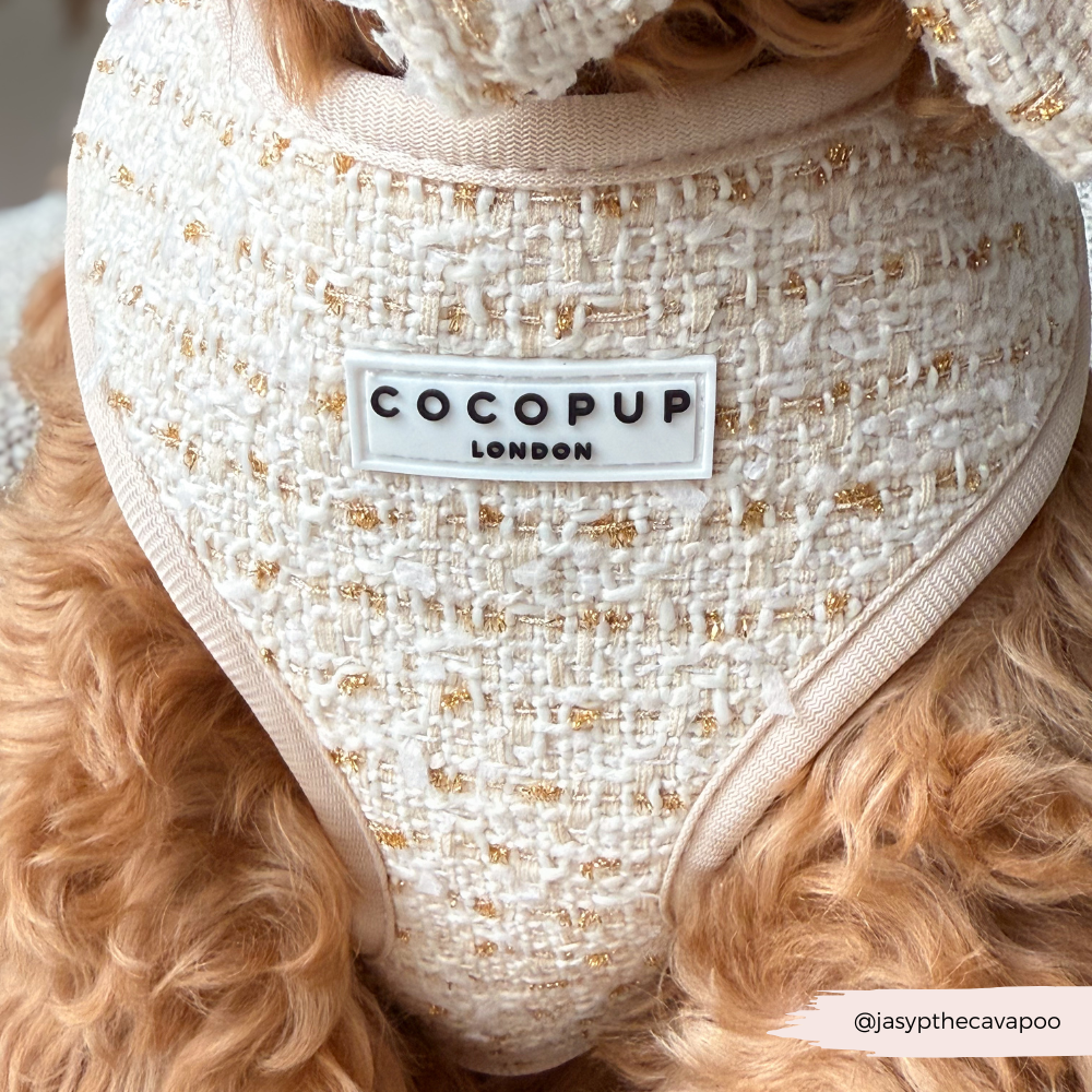 Cocopup London - Wholesale Tuig voor huisdieren - Hond - Vanillekleurig Getextureerd Tweed Verstelbaar NekHARNAS4
