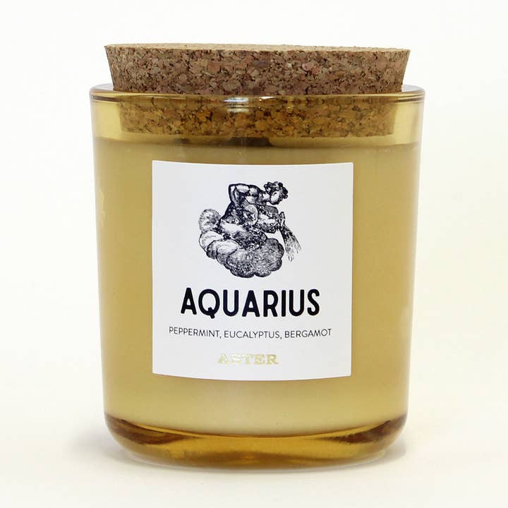 Aster Candle - Wholesale Jar/Filled Candle - Aquarius Zodiac Candle - 8.5oz0