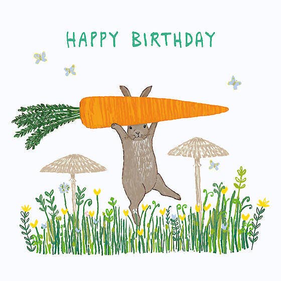 Forraje de Cumpleaños para venta al por mayor de Paper Bird Publishing