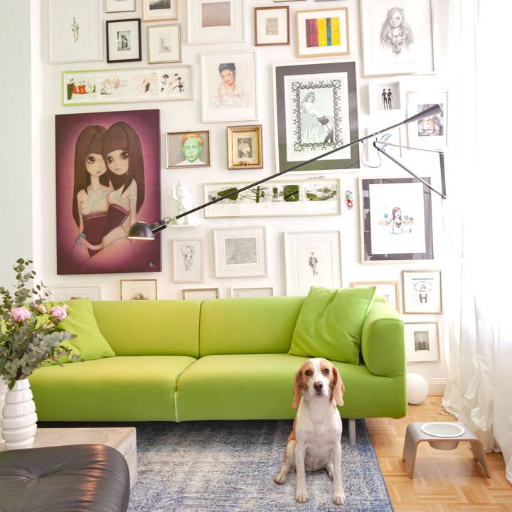 DogBar® Single M - Gray for wholesale by dogBar®