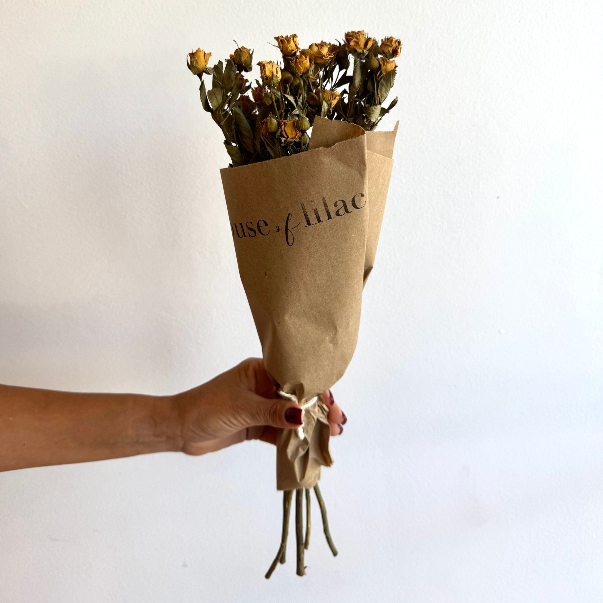 House of Lilac - Wholesale Dried/Pressed Flowers - Spray Rose Everyday Dried Flower Bunch0