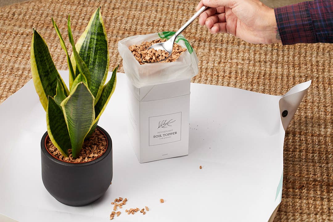 Generosa - Wholesale Planting/Potting Soil - NATURAL MULCH | Soil Topper Cork Granules 1000 ml5