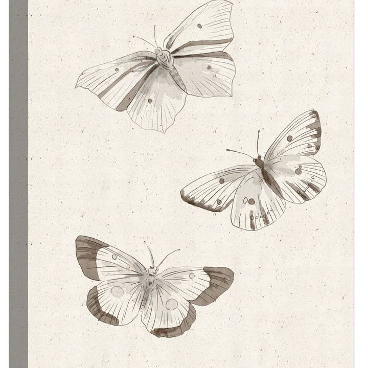 Butterfly Stages 22'' x 20'' Canvas Wall Art for wholesale by PTM Images