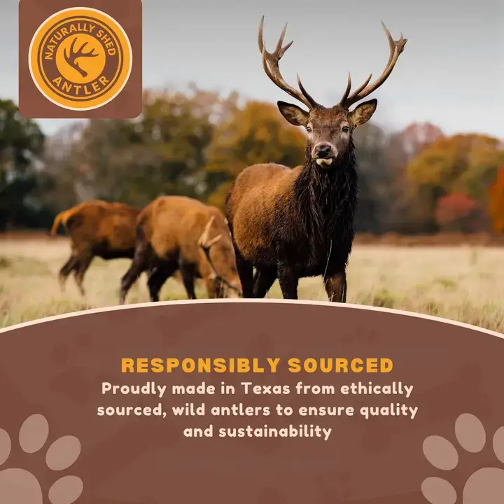 WhiteTail Naturals - Wholesale Pet Bone/Rawhide - Dog - (XL) Whole-Cut DEER Antler Chew- Single or Multipac, Branded3