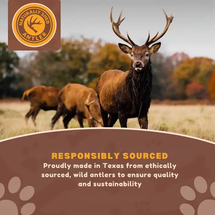 WhiteTail Naturals - Wholesale Pet Bone/Rawhide - Dog - (XL) Whole-Cut DEER Antler Chew- Single or Multipac, Branded3