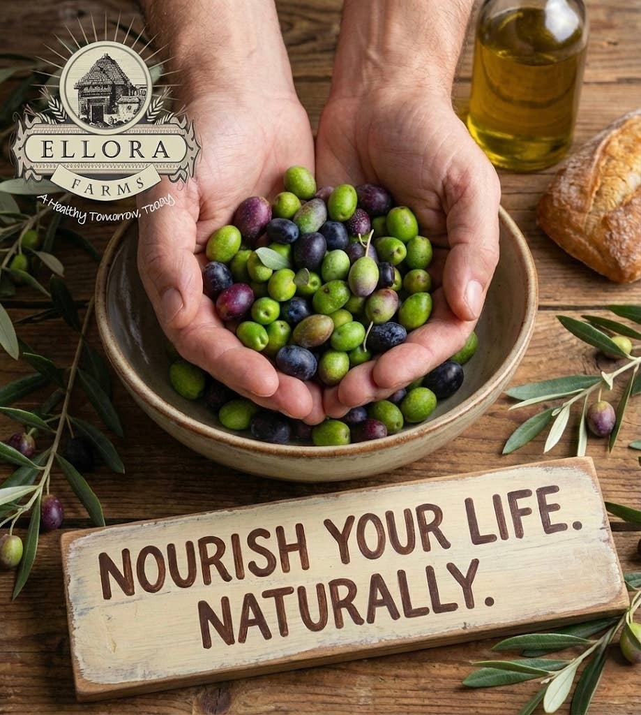 ELLORA FARMS - Wholesale Olive Oil - Organic Extra Virgin Olive Oil, Greek, Traceable, Gold Award3