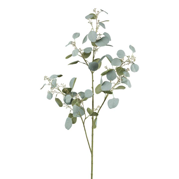 eucalyptus branch, 112 cm for wholesale by GASPER GmbH