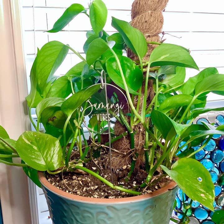 Crawford Custom Engraving - Venta al por mayor Postes de jardín/césped - Marcadores para plantas y jardines, juegos de palabras con plantas, divertidos marcadores de plantas