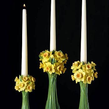 Ibis and Orchid Design - Wholesale Tapered candle/candlestick - Jonquils Candlesticks Set0