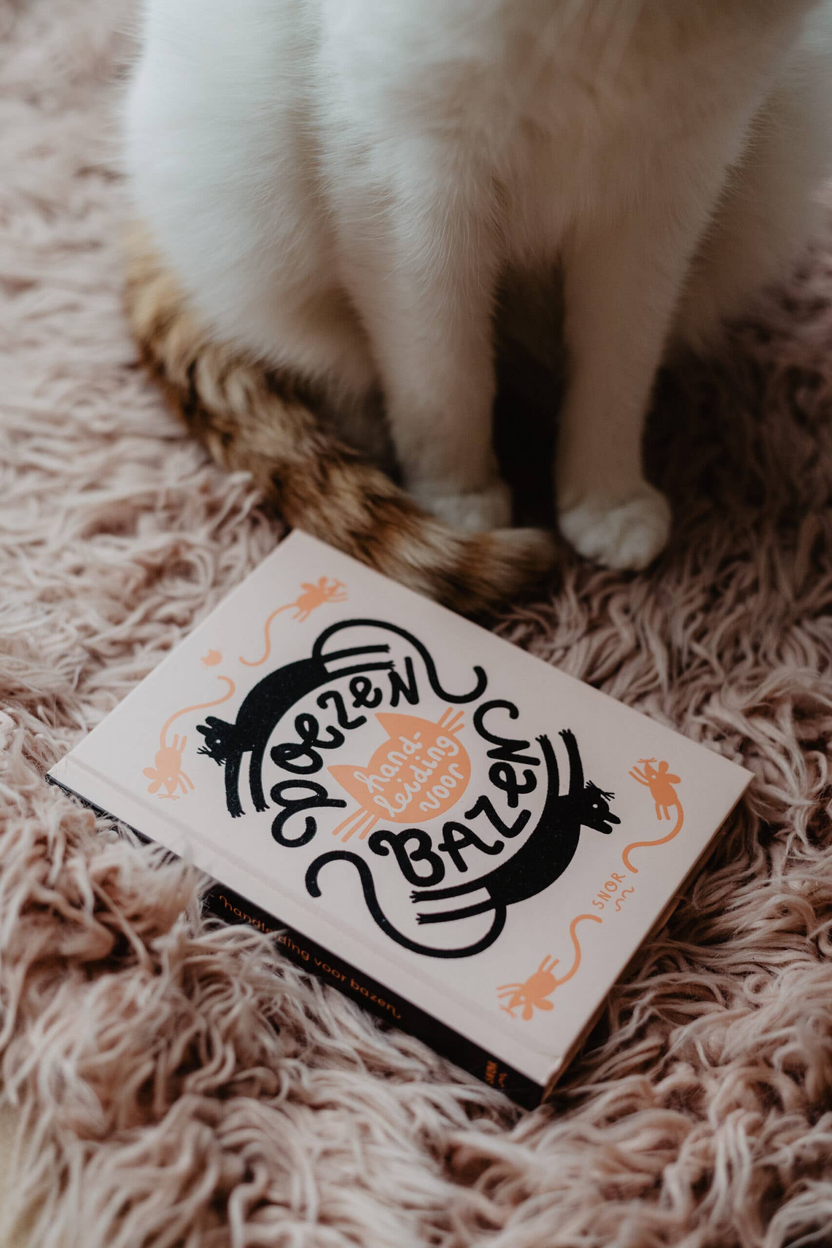 Uitgeverij Snor - Wholesale Pet  Book - Cats4