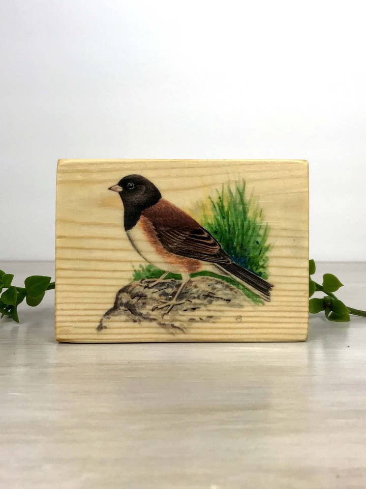 Junco De Olho-Escuro Sobre Madeira, 3.5x4.75, Impressão em Madeira por atacado de Streetlightbirds
