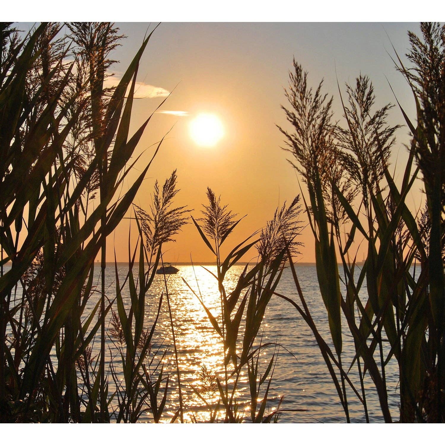 Queence - Vente Affiche d'art - Mural - Valeria0