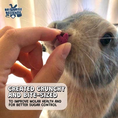 No Furries Delights – Suplemento para animais de estimação – Excluindo cães/gatos por atacado – Binky Chips | Bolso de pílula para pequenos animais7