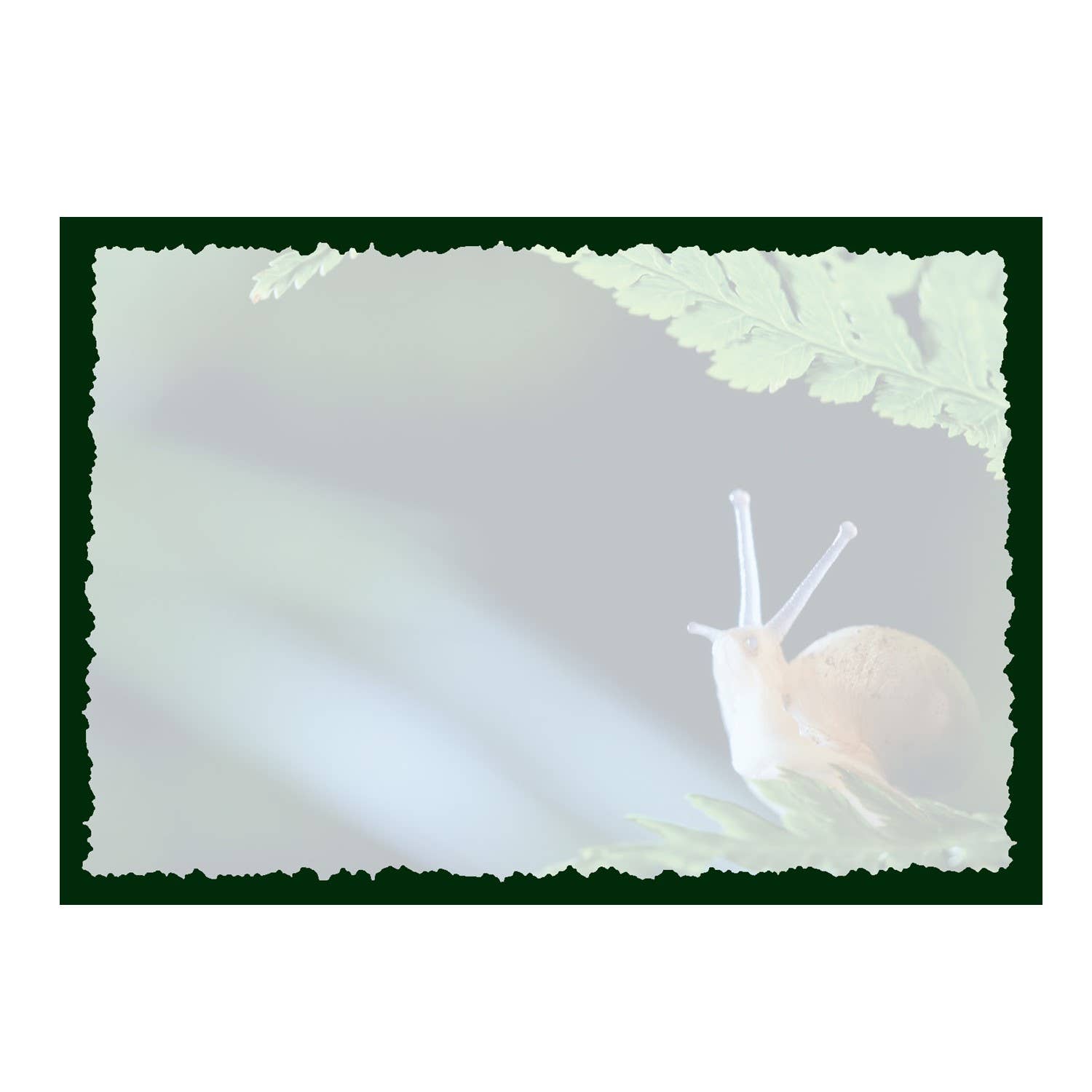 Advice for Life by Your True Nature - Wholesale Everyday Greeting Card - Advice from a Snail Greeting Card - Blank1