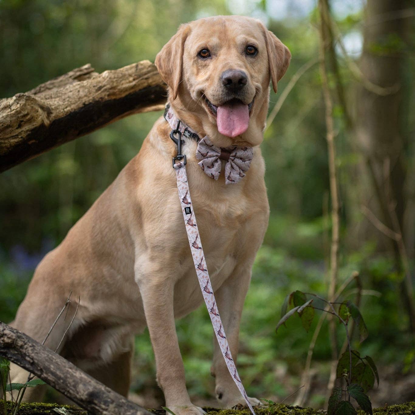 The aDoraBle Pooch Company – wholesale Pet bow tie – Dog – Dog Sailor Bow Tie - Farmland Pheasant15