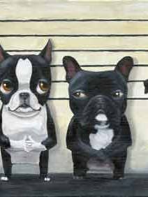 Lámina artística con diseño de perro Boston Terrier, The Line Up para venta al por mayor de Brian Rubenacker studios