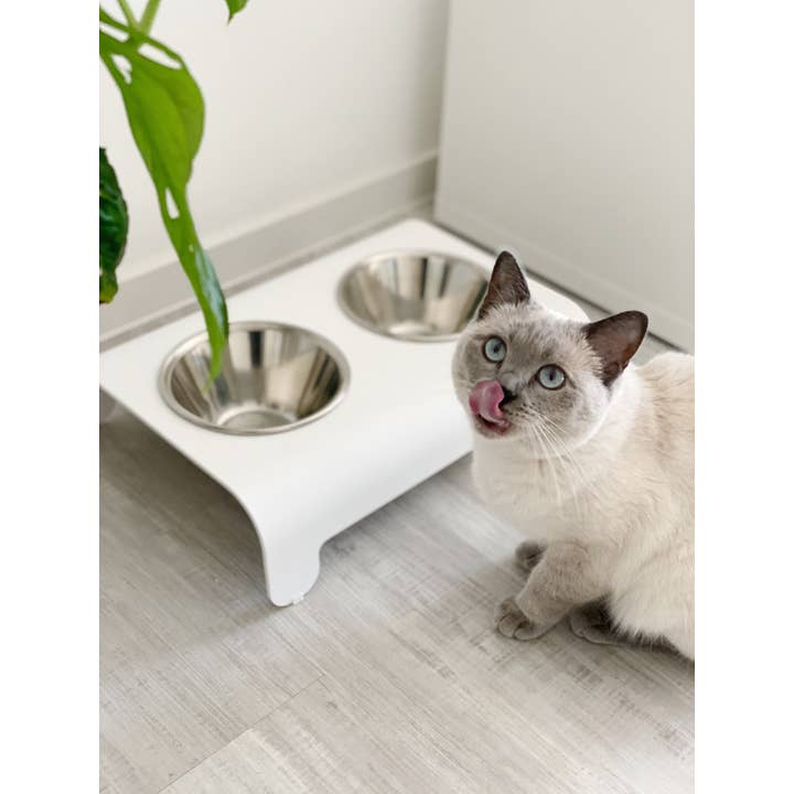 Labbvenn - Wholesale Pet Bowl - Cat/Dog - Rico Ffeder7